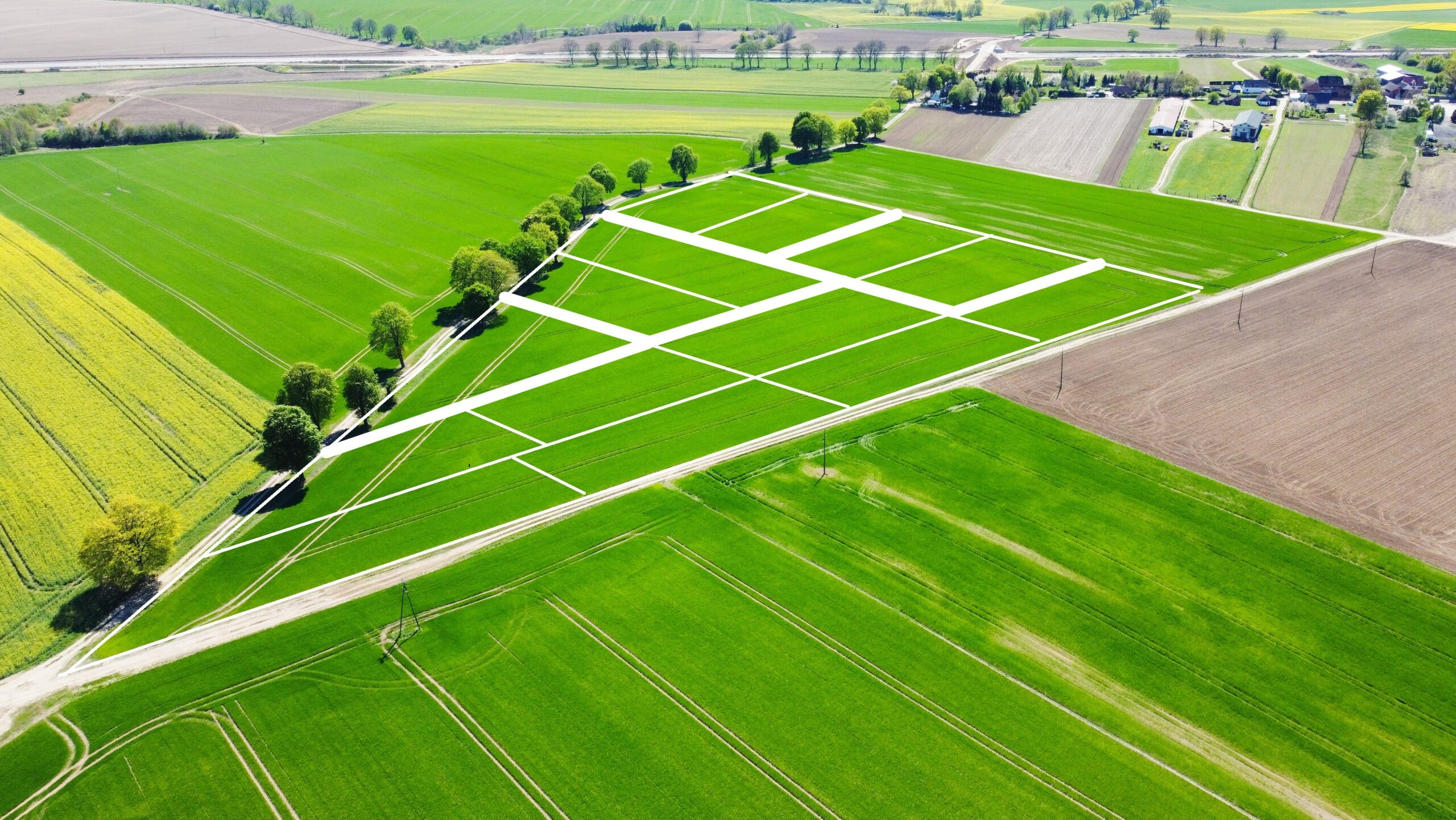 1 DJI 0875 editedzazngot scaled